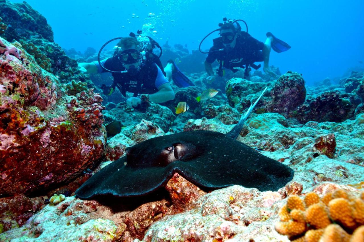 Resort Kandooma Maldives: Kids Stay, Eat & Dive Free 4*