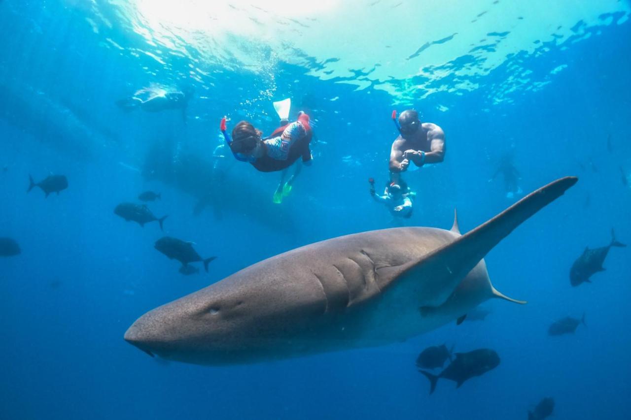 Kandooma Maldives: Kids Stay, Eat & Dive Free Resort 4*