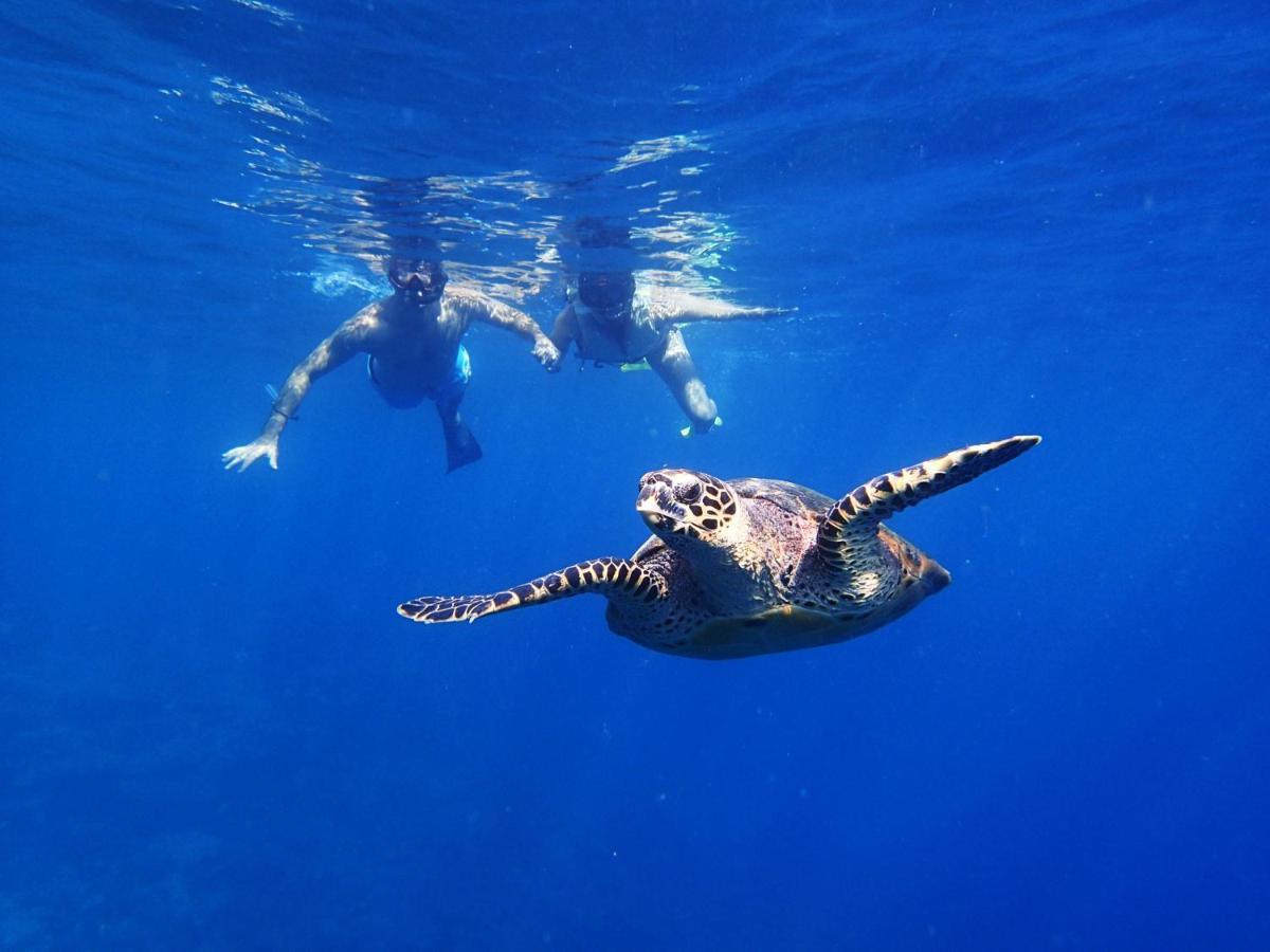 Resort Kandooma Maldives: Kids Stay, Eat & Dive Free 4*