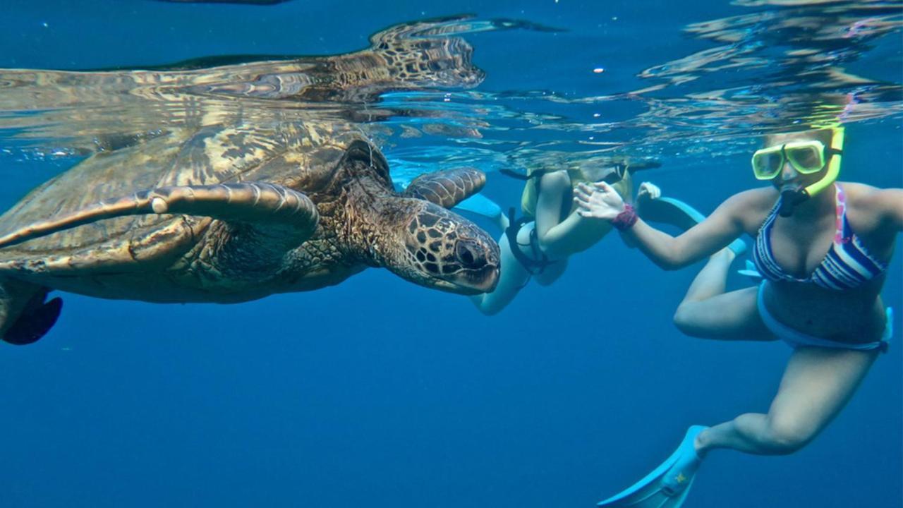 Kandooma Maldives: Kids Stay, Eat & Dive Free Resort 4*